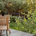 Lawendowe Pole - Rozany * Nowe Kawkowo