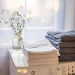 Lawendowe Pole - Rozany *