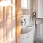 Lawendowe Pole - Rozany Nowe Kawkowo