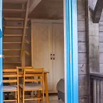 Lawendowe Pole - Rozany Nowe Kawkowo