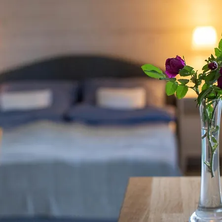 Lawendowe Pole - Różany