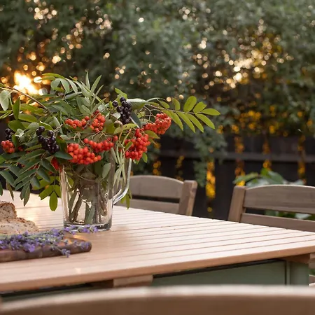 Lawendowe Pole - Różany Dom wakacyjny