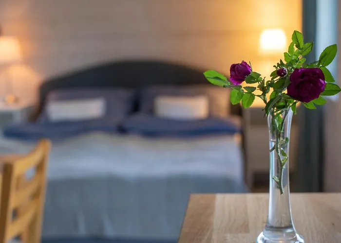 Lawendowe Pole - Różany