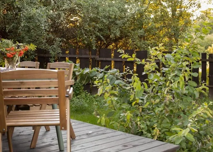 Lawendowe Pole - Różany * Nowe Kawkowo